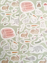 Load image into Gallery viewer, &quot;Rabbits are NOT Rodents&quot; Stickers
