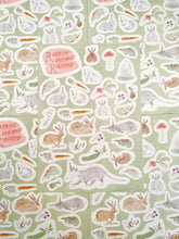 Load image into Gallery viewer, &quot;Rabbits are NOT Rodents&quot; Stickers
